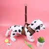 Factory direct sales of new pet chest and back models undefined